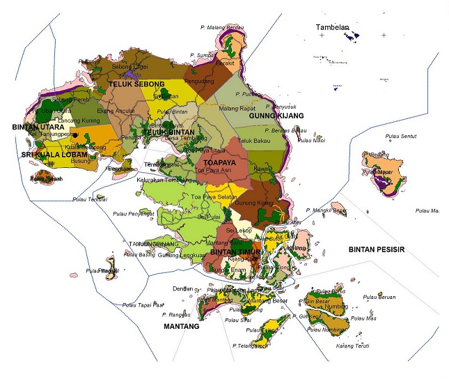 Peta Kabupaten Bintan